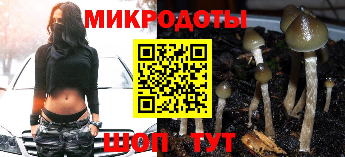 Галлюциногенные грибы MAGIC MUSHROOMS  Псилоцибиновые грибы Psilocybe  Вход с VPN  где найти наркотики  Артём 
