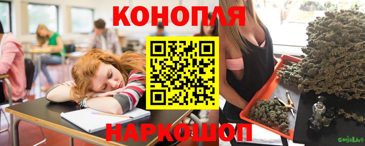 Канабис ГИДРОПОН  Каннабис Ganja  Вход с VPN  Артём 
